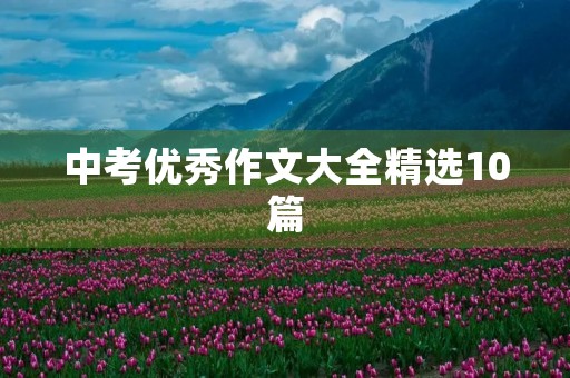 中考优秀作文大全精选10篇 中考优秀作文大全精选10篇
