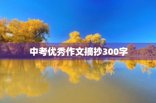 中考优秀作文摘抄300字