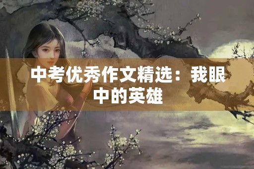 中考优秀作文精选：我眼中的英雄