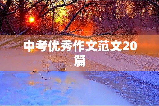 中考优秀作文范文20篇