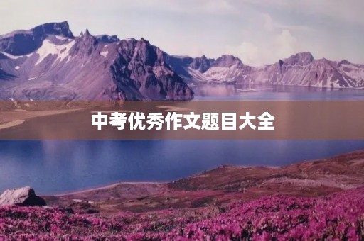中考优秀作文题目大全