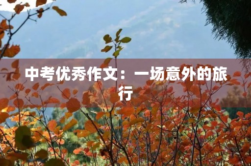 中考优秀作文：一场意外的旅行
