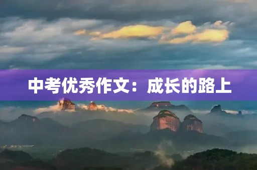 中考优秀作文：成长的路上