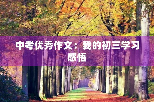中考优秀作文:我的初三学习感悟 中考优秀作文:我的初三学习感悟
