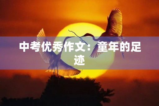 中考优秀作文:童年的足迹 中考优秀作文:童年的足迹