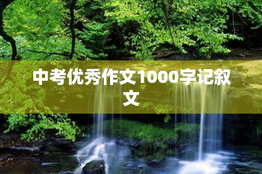 中考优秀作文1000字记叙文 中考优秀作文1000字记叙文