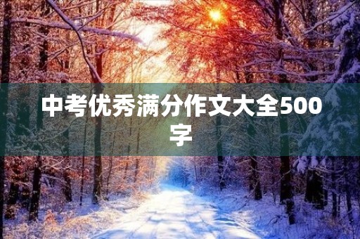 中考优秀满分作文大全500字