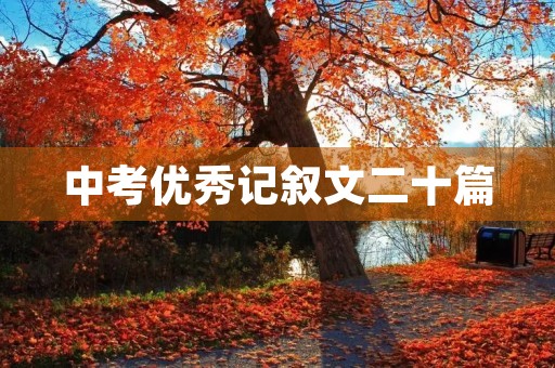 中考优秀记叙文二十篇