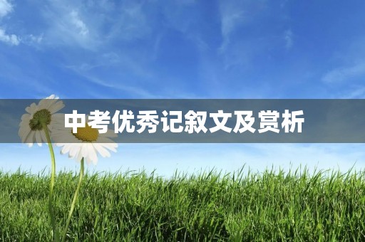 中考优秀记叙文及赏析