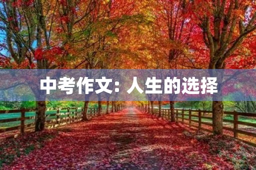 中考作文: 人生的选择