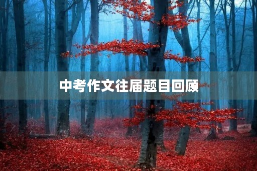 中考作文往届题目回顾