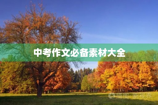 中考作文必备素材大全