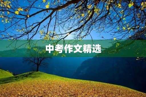 中考作文精选 中考作文精选