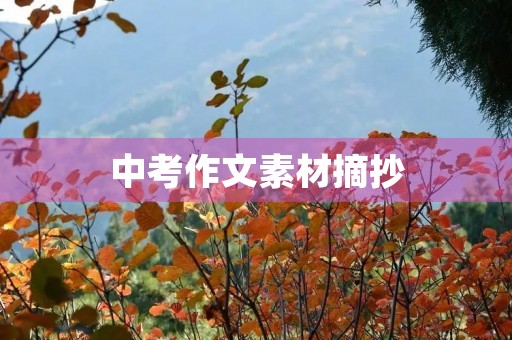 中考作文素材摘抄
