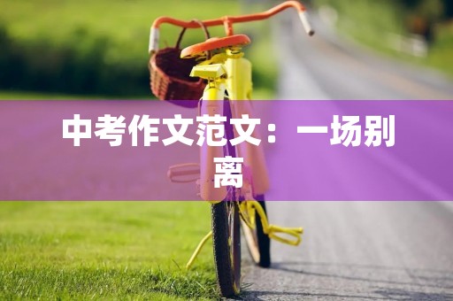 中考作文范文:一场别离 中考作文范文:一场别离