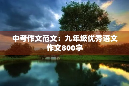 中考作文范文:九年级优秀语文作文800字 中考作文范文:九年级优秀语文作文800字
