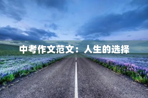 中考作文范文：人生的选择