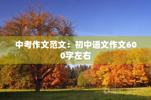 中考作文范文：初中语文作文600字左右