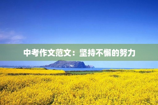 中考作文范文：坚持不懈的努力