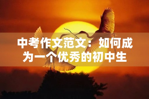 中考作文范文：如何成为一个优秀的初中生