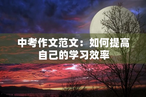 中考作文范文:如何提高自己的学习效率 中考作文范文:如何提高自己的学习效率