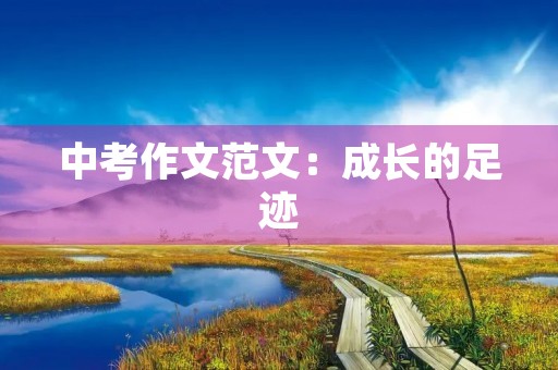 中考作文范文：成长的足迹