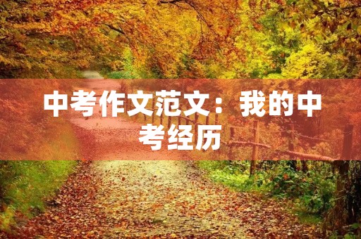 中考作文范文：我的中考经历