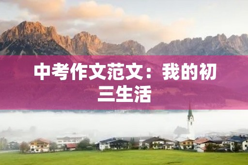 中考作文范文：我的初三生活