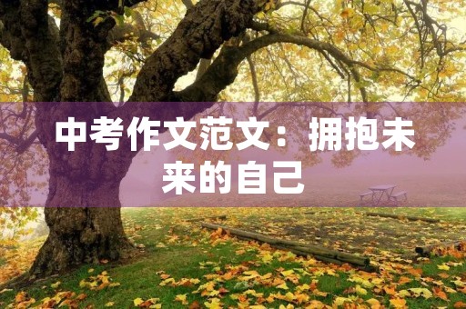 中考作文范文：拥抱未来的自己