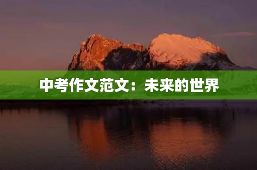 中考作文范文：未来的世界