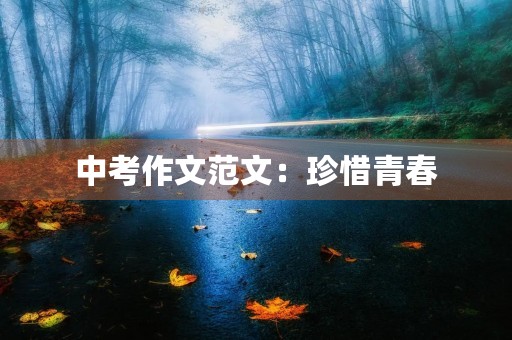 中考作文范文：珍惜青春，创造美好未来
