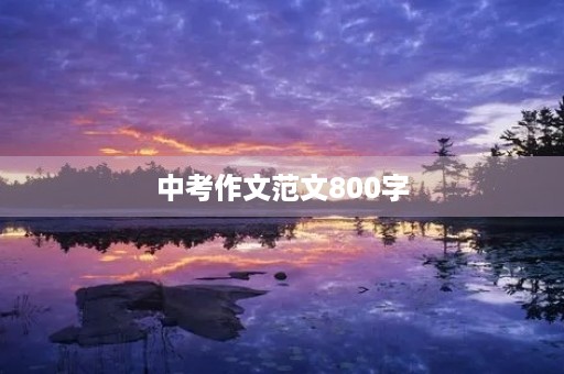 中考作文范文800字 中考作文范文800字