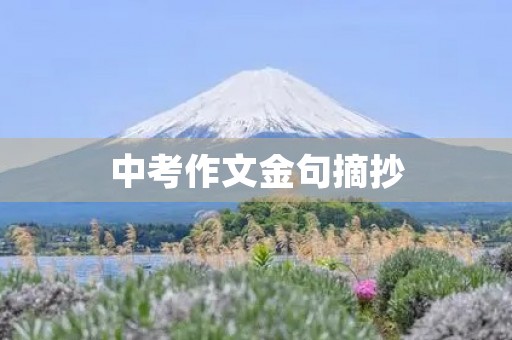 中考作文金句摘抄