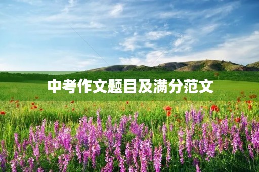 中考作文题目及满分范文 中考作文题目及满分范文