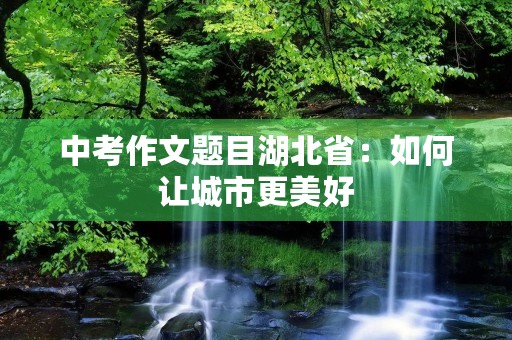 中考作文题目湖北省：如何让城市更美好