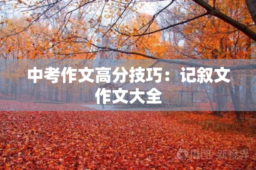 中考作文高分技巧:记叙文作文大全 中考作文高分技巧:记叙文作文大全