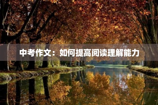 中考作文：如何提高阅读理解能力