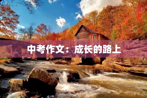 中考作文:成长的路上 中考作文:成长的路上