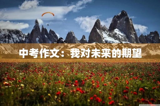 中考作文:我对未来的期望 中考作文:我对未来的期望