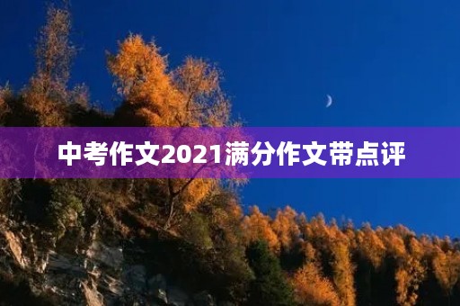 中考作文2021满分作文带点评 中考作文2021满分作文带点评