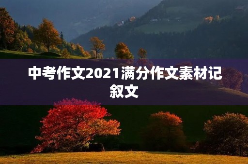中考作文2021满分作文素材记叙文