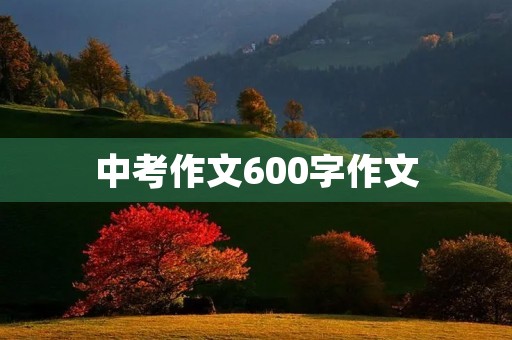 中考作文600字作文