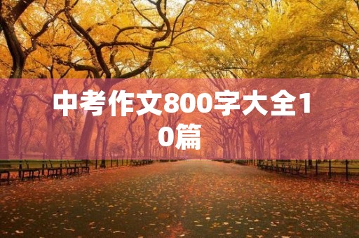 中考作文800字大全10篇 中考作文800字大全10篇