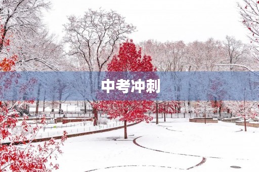中考冲刺，初三作文请让我来