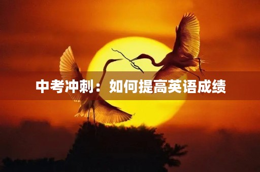 中考冲刺:如何提高英语成绩 中考冲刺:如何提高英语成绩