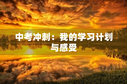 中考冲刺:我的学习计划与感受 中考冲刺:我的学习计划与感受