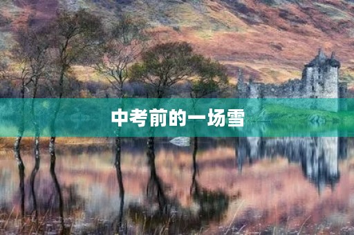 中考前的一场雪 中考前的一场雪