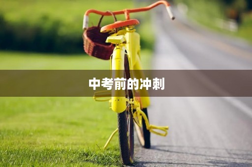 中考前的冲刺 中考前的冲刺