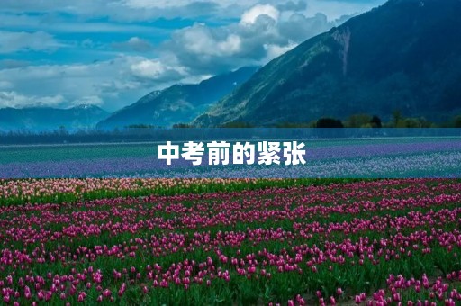 中考前的紧张 中考前的紧张