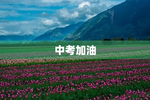 中考加油,走向成功 中考加油,走向成功